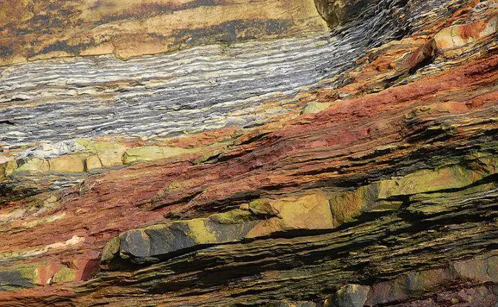 Sédimentologie et Paléontologie