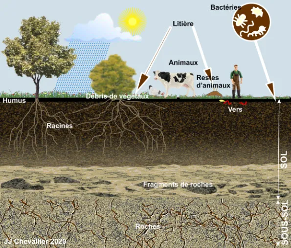 Chimie et Géochimie des Sol