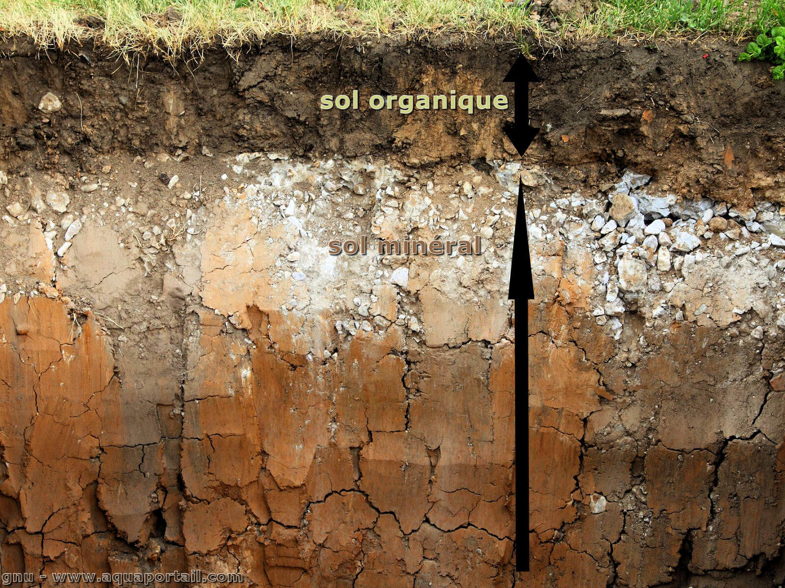 Minéralogie des Sols