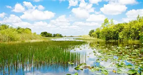 Eau et Environnement