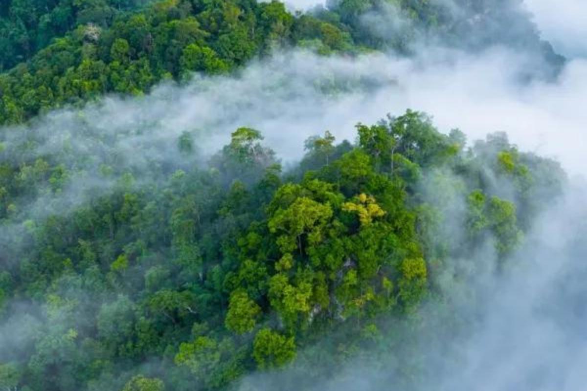 Climatologie Dynamique